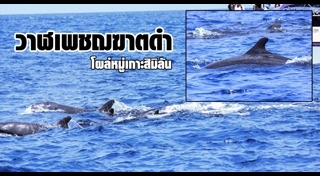 เกาะสิมิลัน