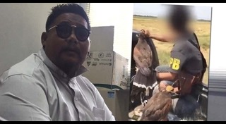 นกหายาก