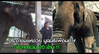 มูลนิธิเพื่อนช้าง