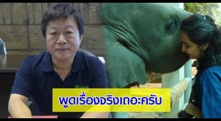 มูลนิธิเพื่อนช้าง