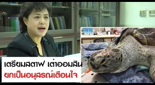 เต่าตนุ