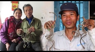 เรื่องแปลกเวียดนาม