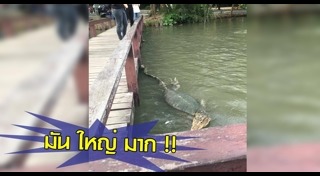 มหาวิทยาลัยศิลปากร