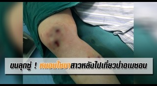 หนอนแมลงวัน