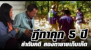 ตายายเก็บเห็ด