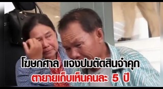 ตายายเก็บเห็ด