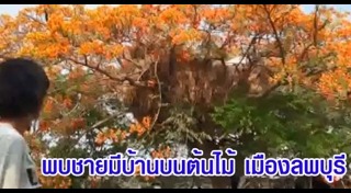 บ้านแปลก ๆ