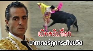 กระทิงไล่ขวิดคน