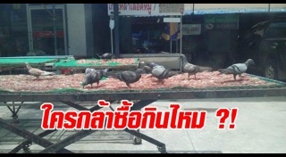 หมูแดดเดียว