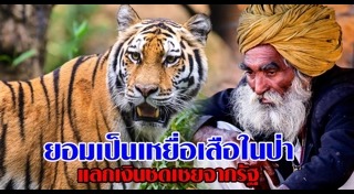 เสือกินคน