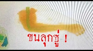 ศพคนในกระเป๋า