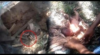 ฝังทั้งเป็น