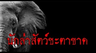 นักล่าสัตว์