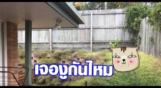 ทายภาพปริศนา