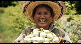 เศรษฐกิจพอเพียง