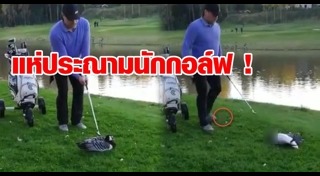 นักกอล์ฟ