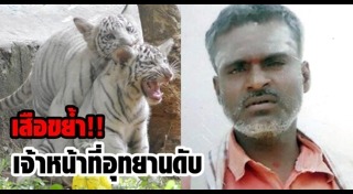 เสือกินคน