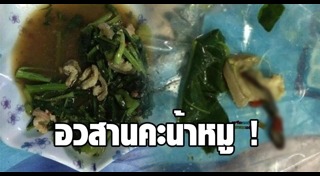 ไส้เดือน