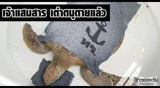 เต่าตนุ