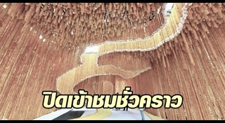 ปากคลองตลาด