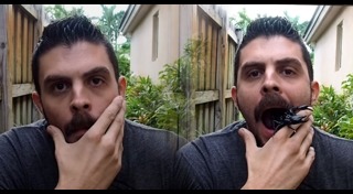 แมงป่อง