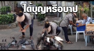 ปล่อยนก