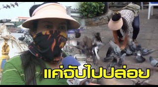 ปล่อยนก