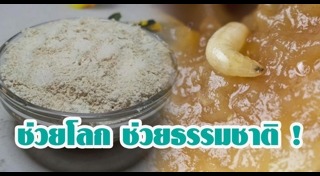 หนอนแมลงวัน