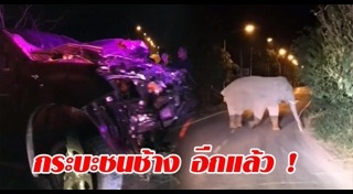 รถชนช้าง