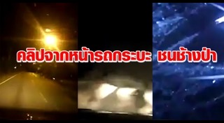 รถชนช้าง