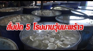 วุ้นมะพร้าว