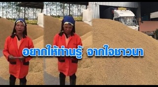 ชาวนาไทย