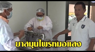 สมุนไพรรักษามะเร็ง