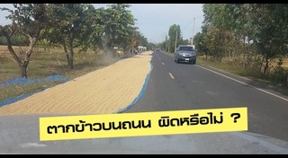 สิ่งกีดขวางบนถนน