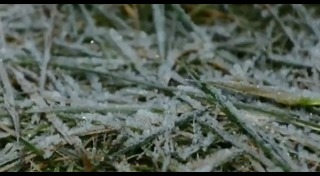 แม่คะนิ้ง