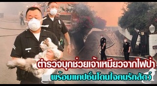 ไฟไหม้ป่าสหรัฐอเมริกา