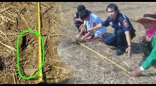 รอยเท้าประหลาด