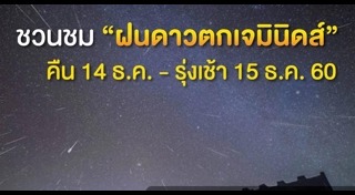 ฝนดาวตกเจมินิดส์