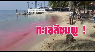 น้ำทะเล