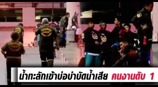 ตกบ่อบำบัดน้ำเสีย