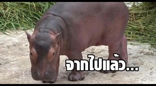 สวนสัตว์เชียงใหม่