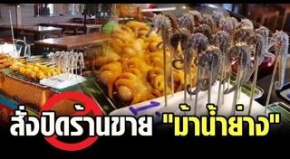 สัตว์ใกล้สูญพันธุ์