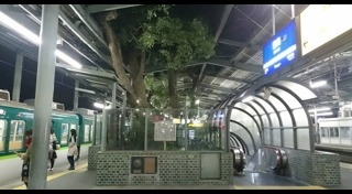 สถานีรถไฟญี่ปุ่น