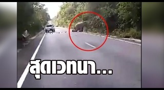 รถชนช้าง