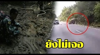 รถชนช้าง