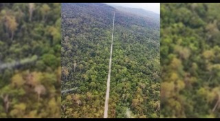 ช้างเผือก