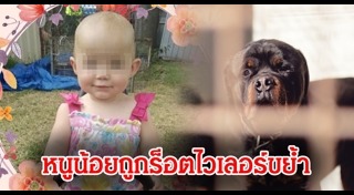 ร็อตไวเลอร์