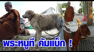 พระหนูที สุตธัมโม