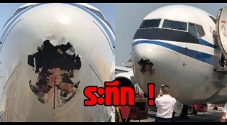 เครื่องบินชนนก