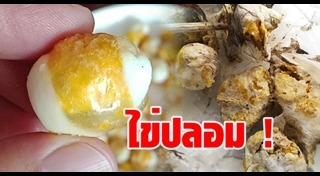 ไข่นกกระทา